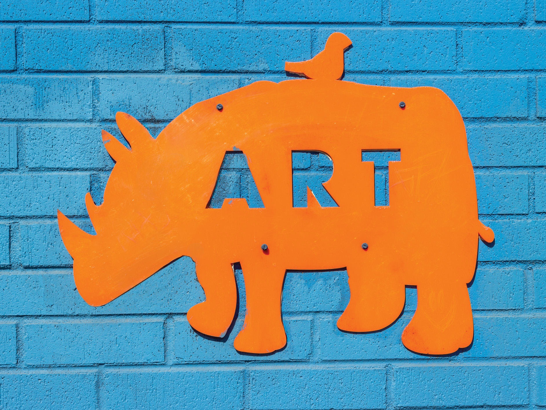 Orange rhino metal on blue brick wall