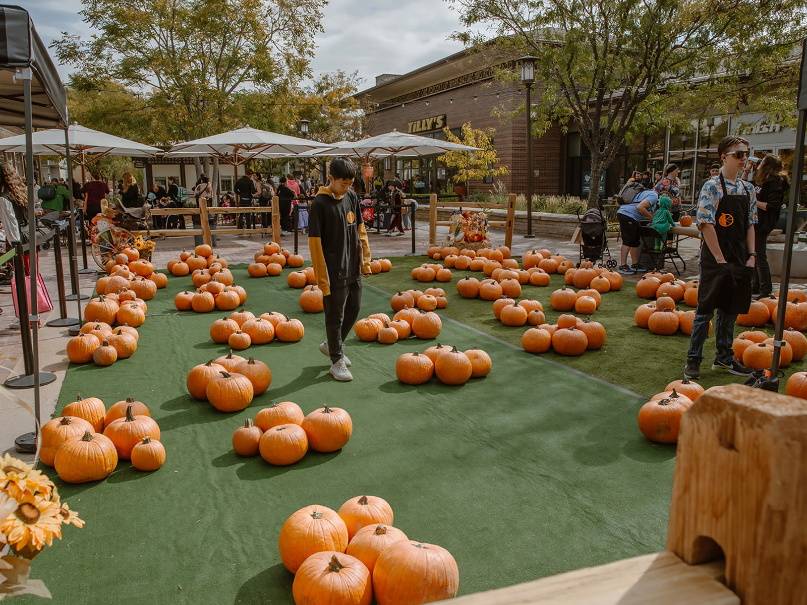 Man stands in a makeshift pumpkin patch