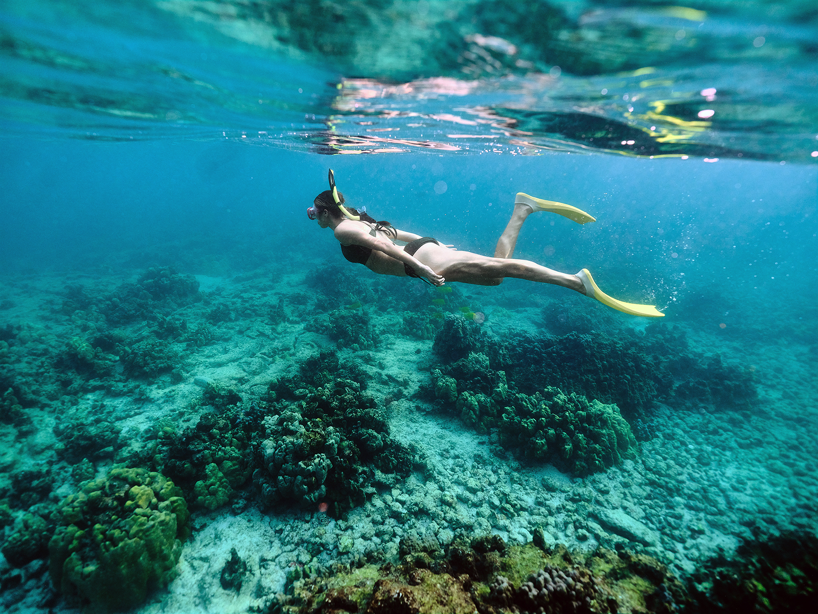 A girl snorkeling