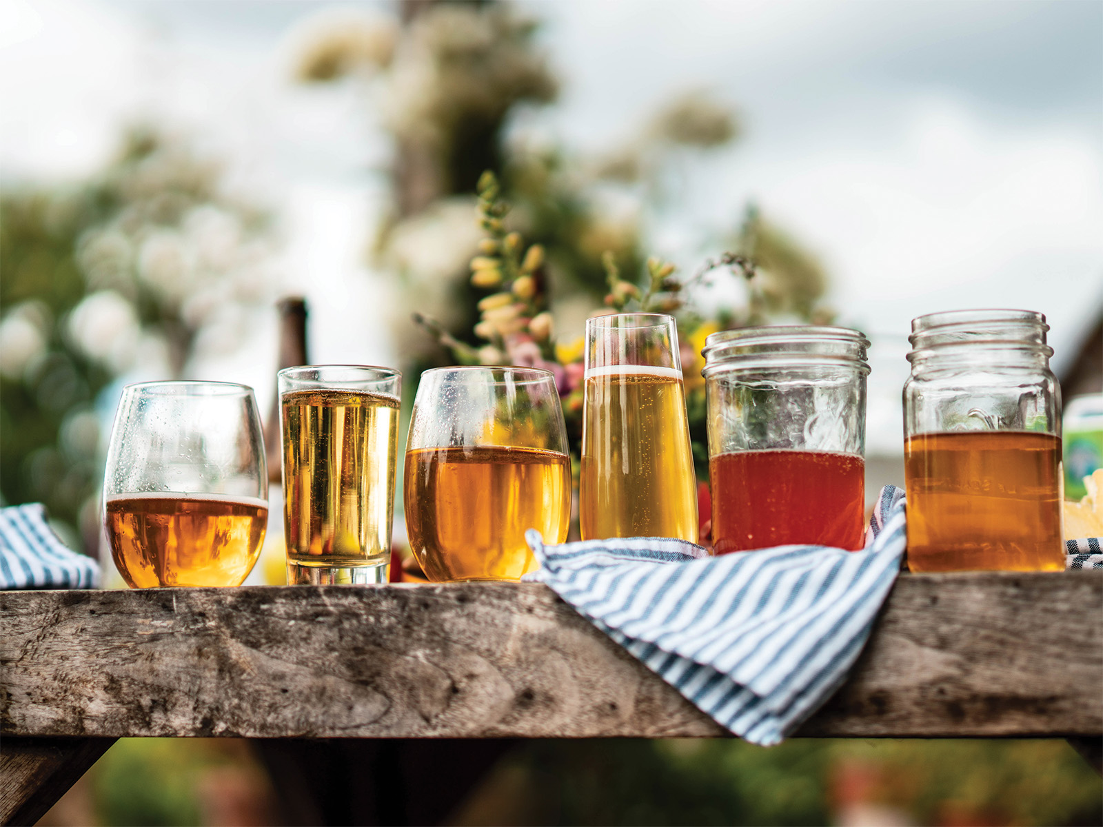 Ciders in various glasses on a table