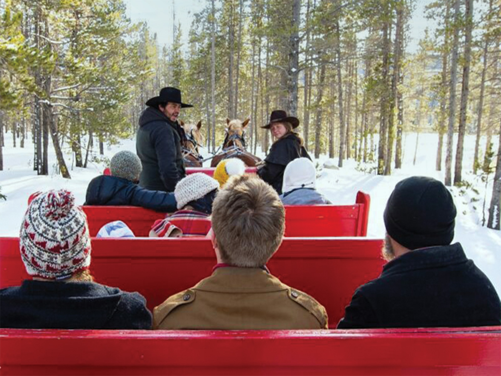 A red sleigh being pulled through a forest