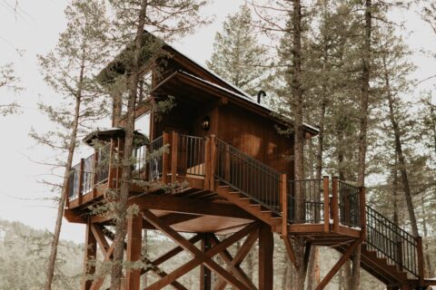 A wooden treehouse among evergreen trees