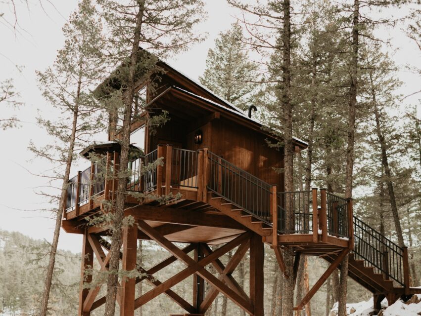 A wooden treehouse among evergreen trees