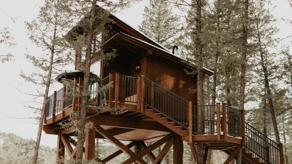 A wooden treehouse among evergreen trees