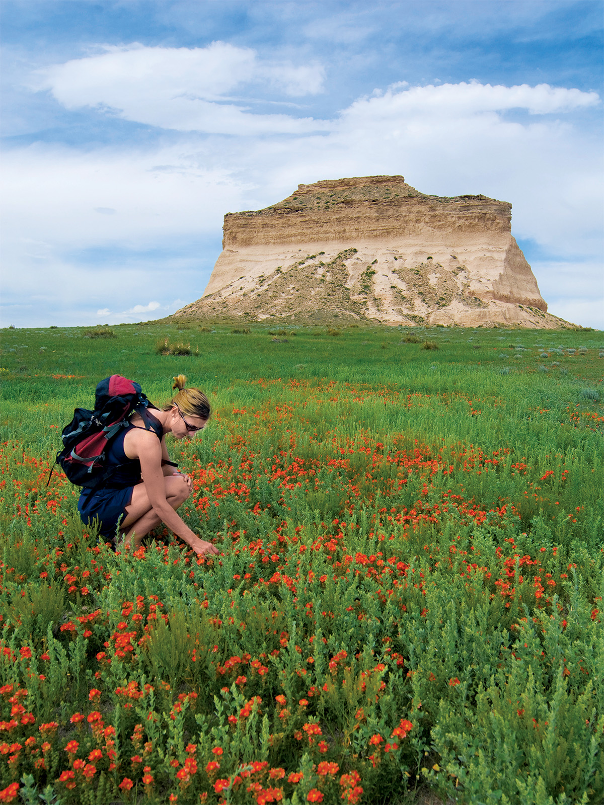 A woman in a wildflower field in front of a butte