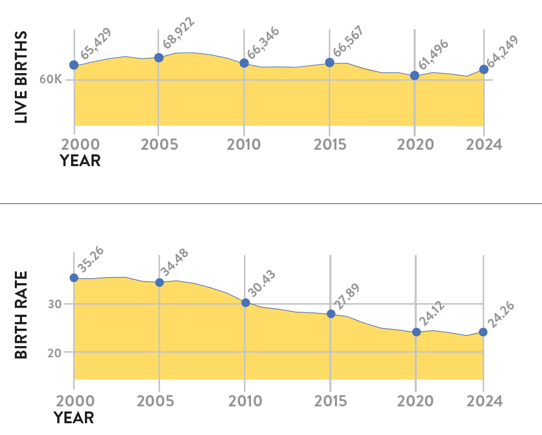 Line graphs showing birth rate data in Colorado