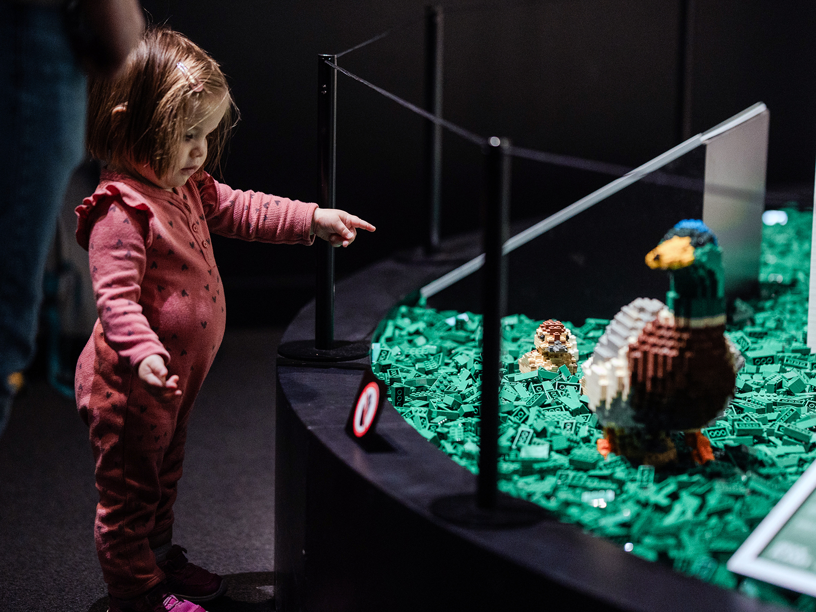 What To Expect at the Denver Museum of Nature and Science’s New