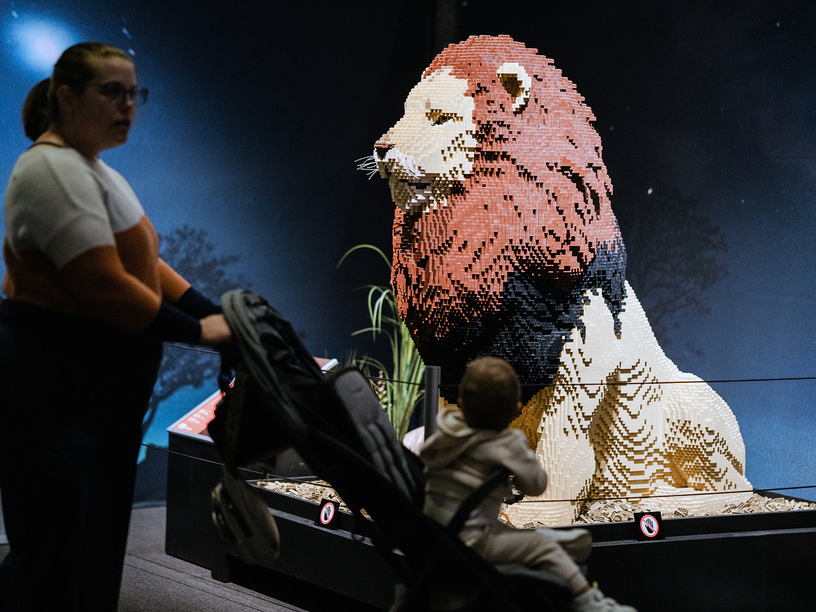 A giant lion Lego display with a child in a stroller looking on at Brick Planet in Denver