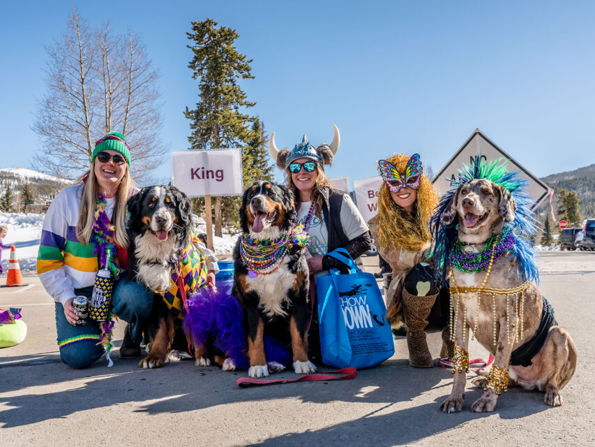 Mardi Gras Dog Parade