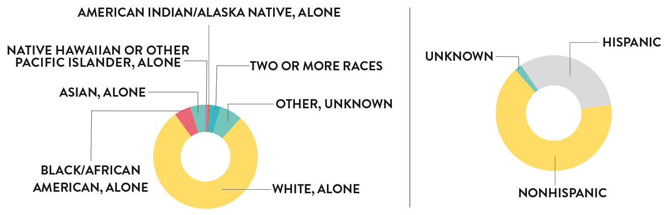 Circle graphs depicting maternal race in Colorado