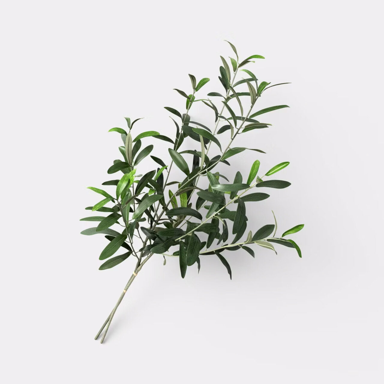 Faux olive sprigs