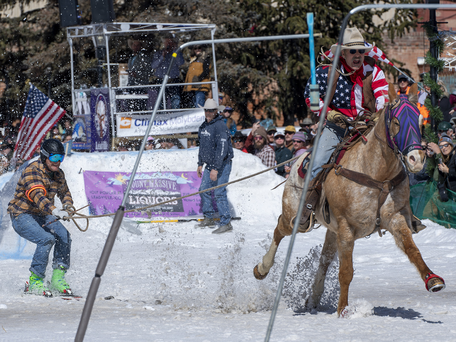 Leadville skijoring