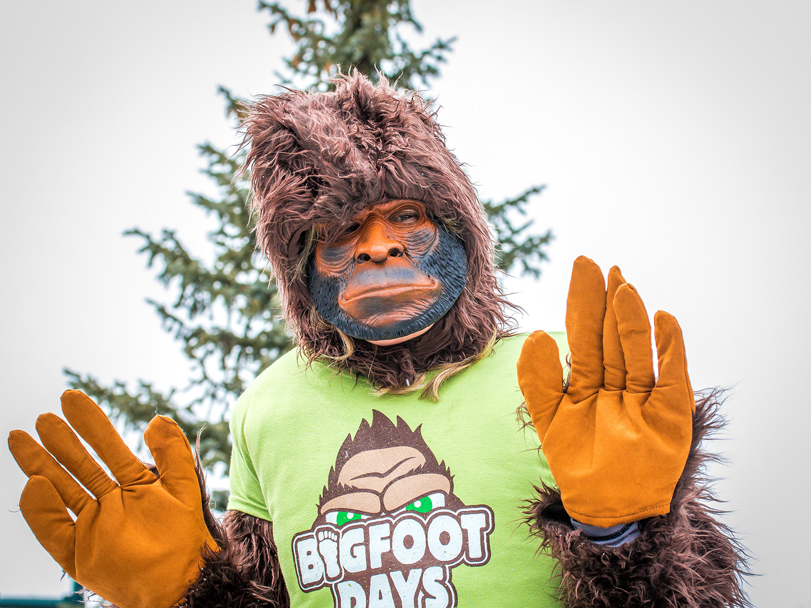 Bigfoot Days