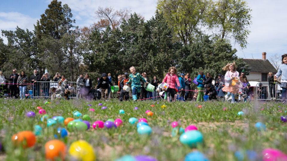 Family Egg Hunt