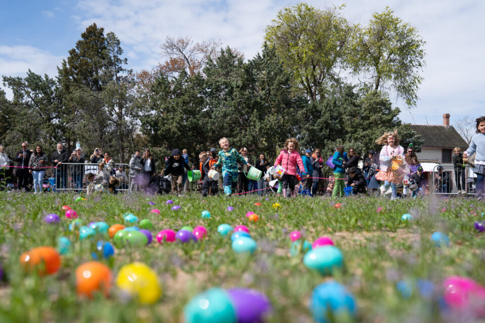 Family Egg Hunt
