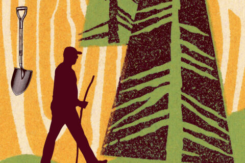 A hiker, shovel, and trees in an illustration