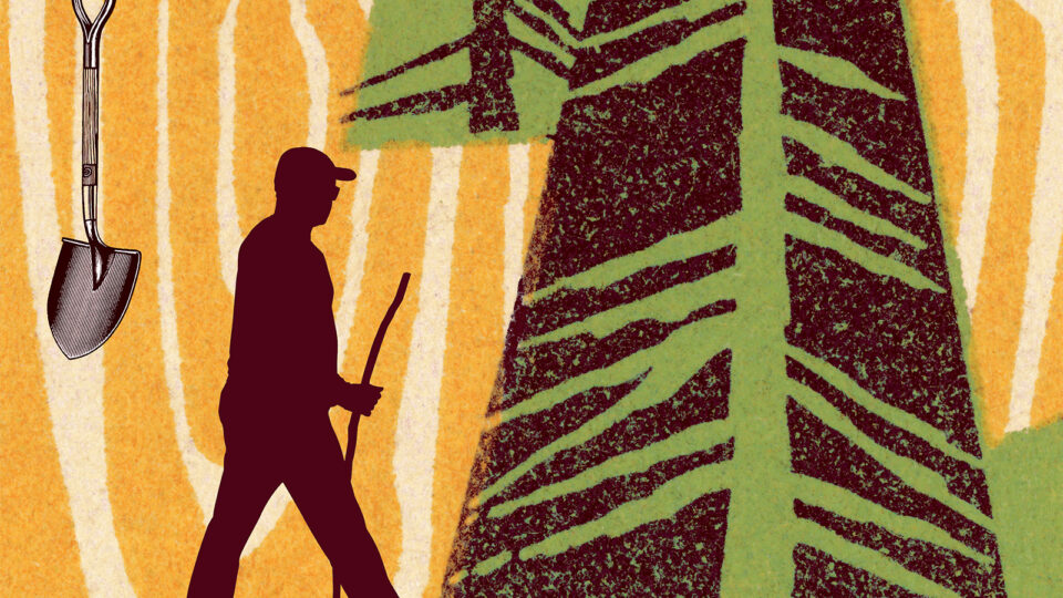 A hiker, shovel, and trees in an illustration