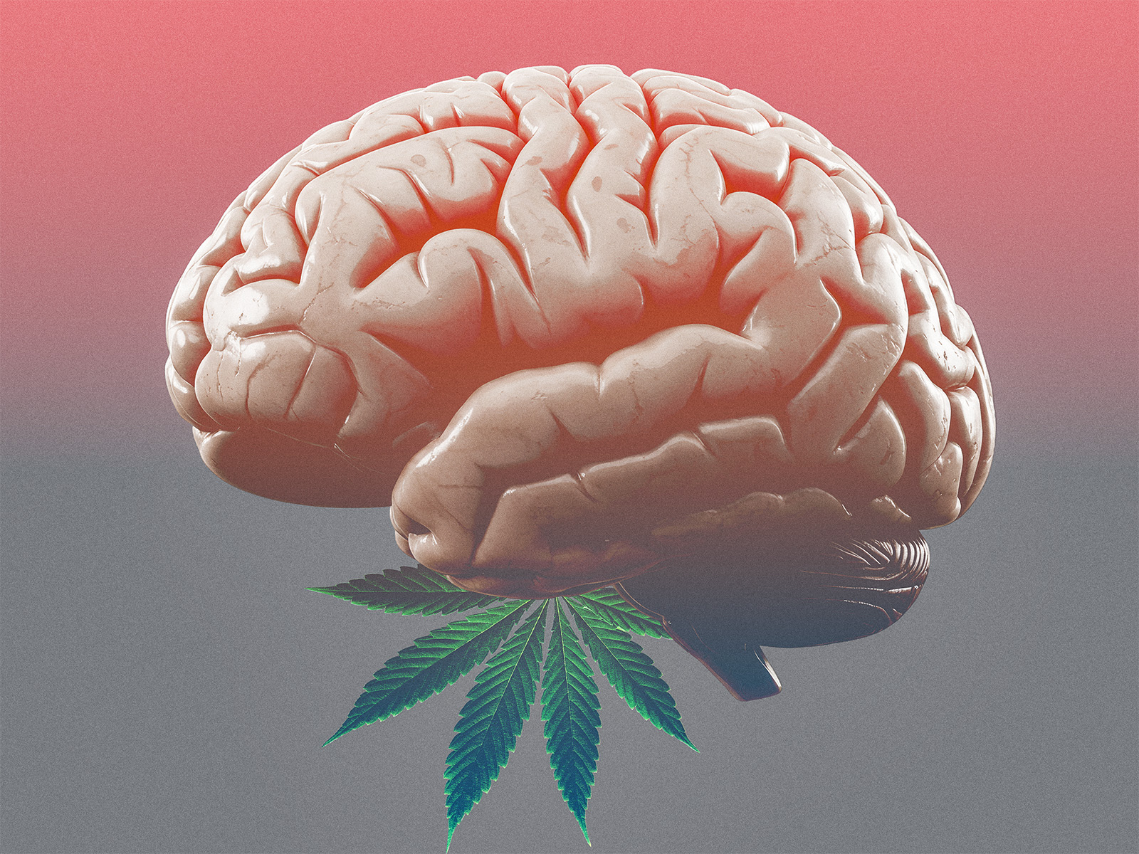 Brain and a marijuana leaf