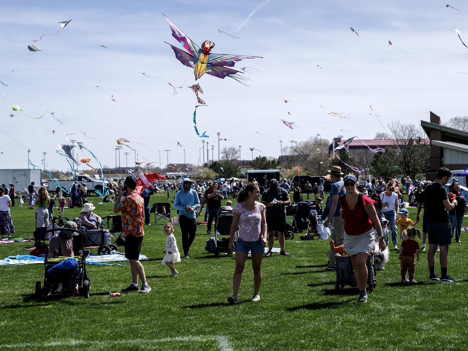 Kite Fest