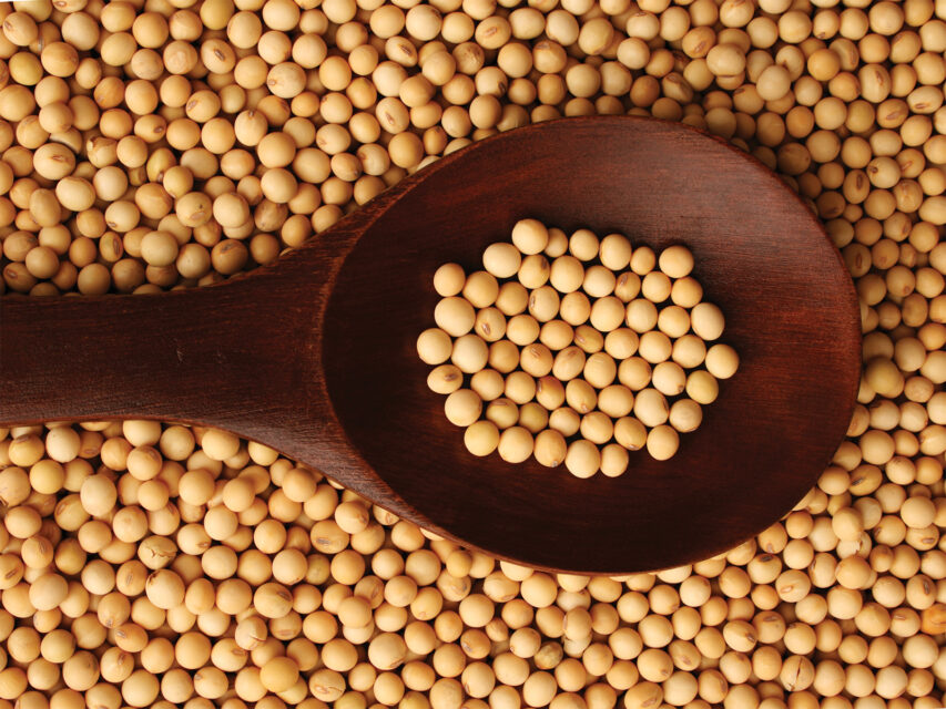 Soy beans