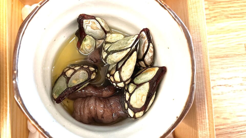 Precebes (gooseneck barnacles) in a white dish