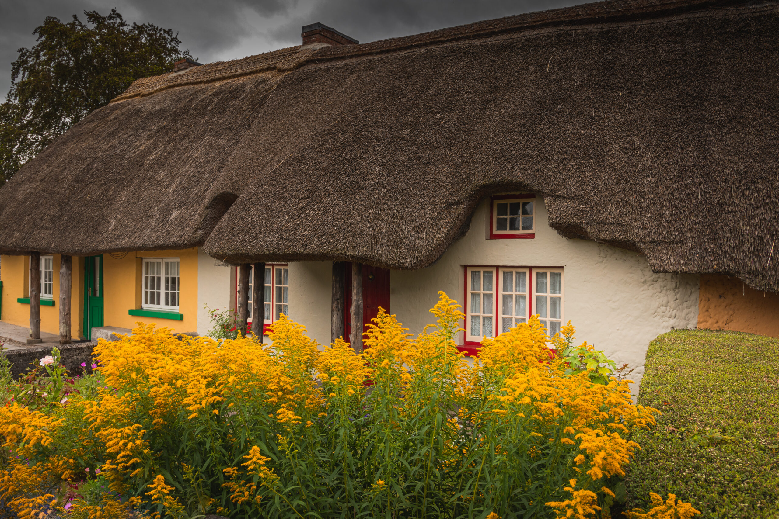 Adare, Ireland. Thatched cottage in the picturesque Village of Adare, Co. Limerick full of flowers in front garden. Ireland, Europe