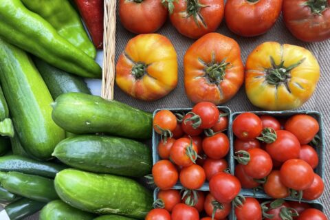 Cherry tomatoes, bell peppers, and zucchini