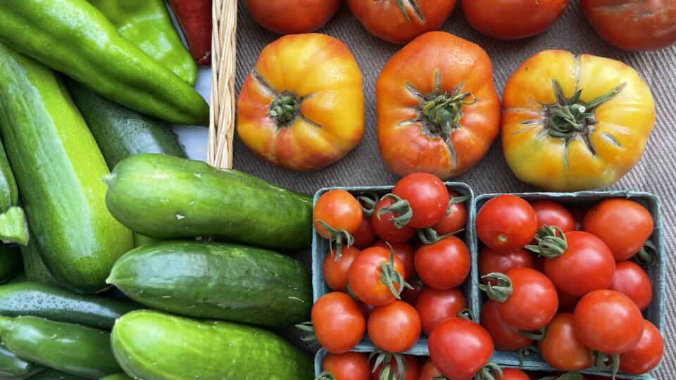 Cherry tomatoes, bell peppers, and zucchini