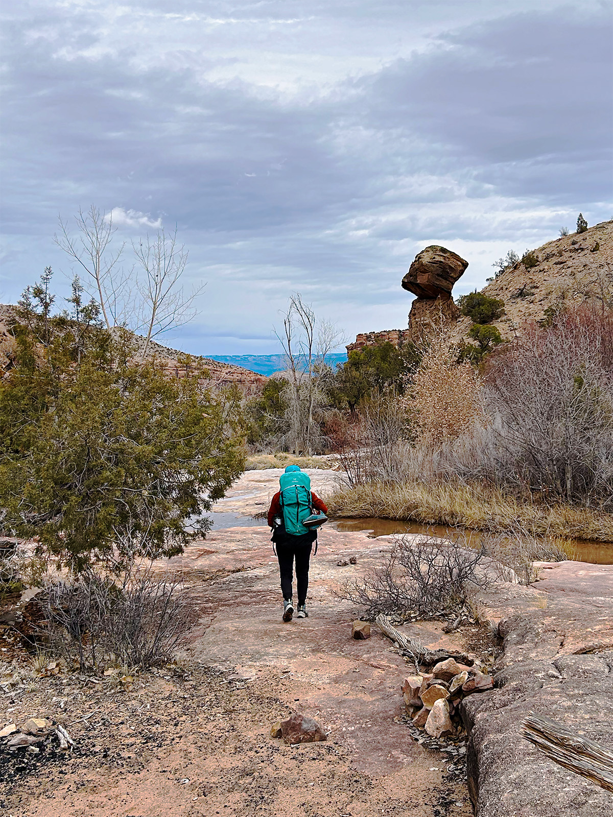 A hiker in Big Dominguez Canyon, Colorado