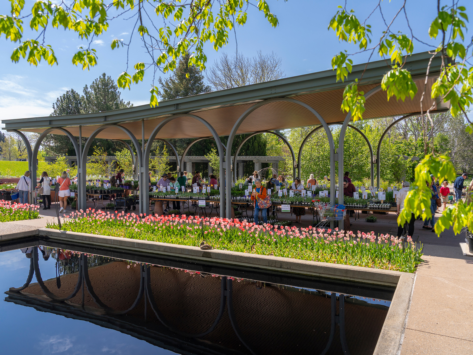 Denver Botanic Gardens Spring Plant Sale