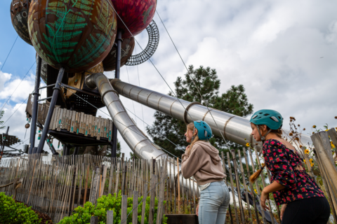 Children explore Adventure Forest at the Children's Museum of Denver.