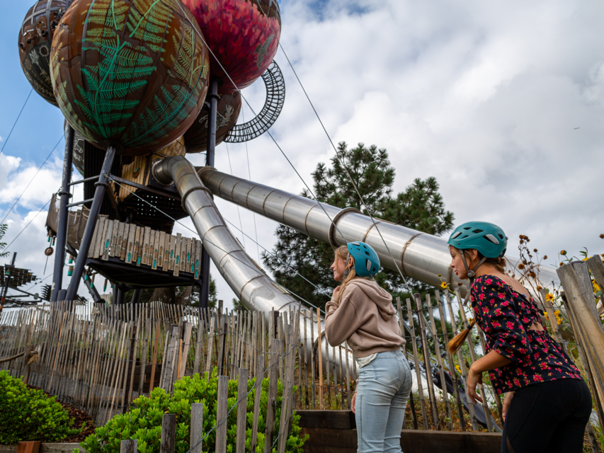 Children explore Adventure Forest at the Children's Museum of Denver.