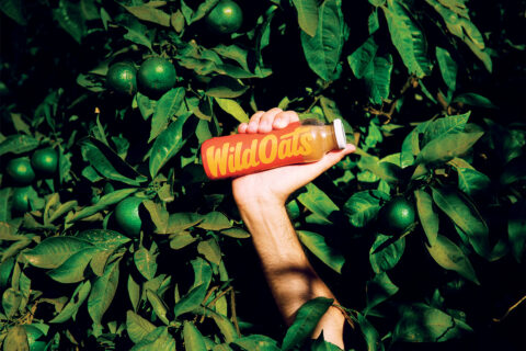 A hand holding Wild Oats juice, sticking out from a hedge