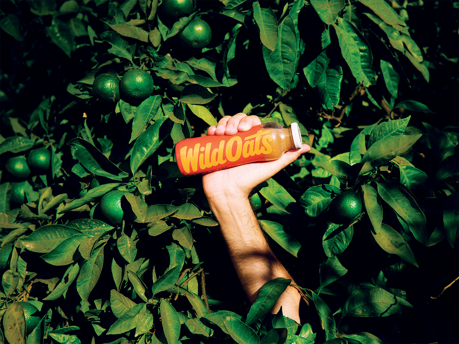 Iconic Boulder Grocery Brand Wild Oats Is Back—Kind Of