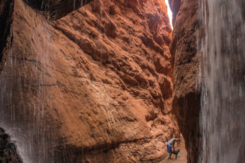 A hiker and his dog in Mary Jane Canyon in Moab, Utah