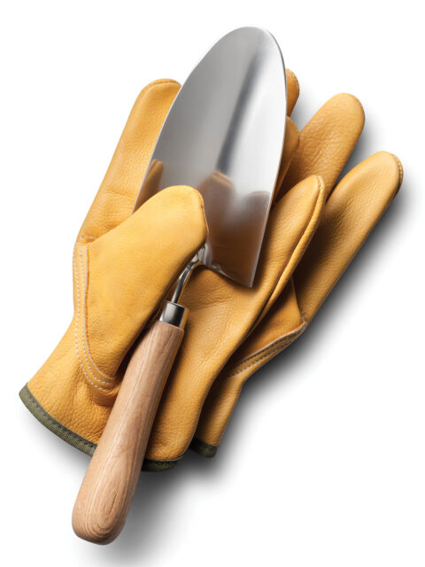 Gardening gloves and a trowel