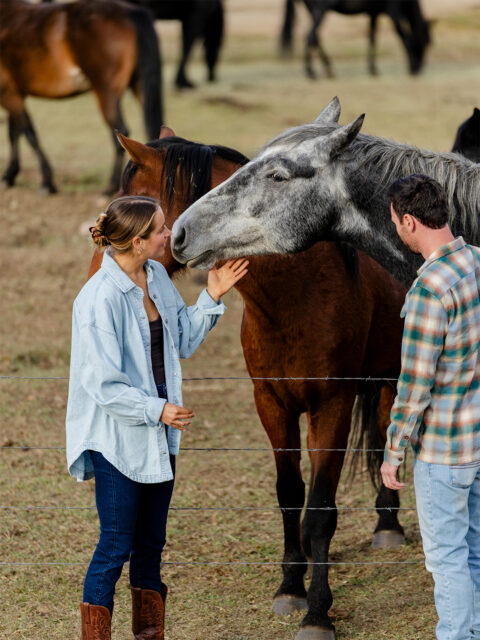 A woman pets a gray horse