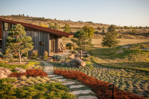 Prairie grasses and perennials carpet the yard of this South Boulder home
