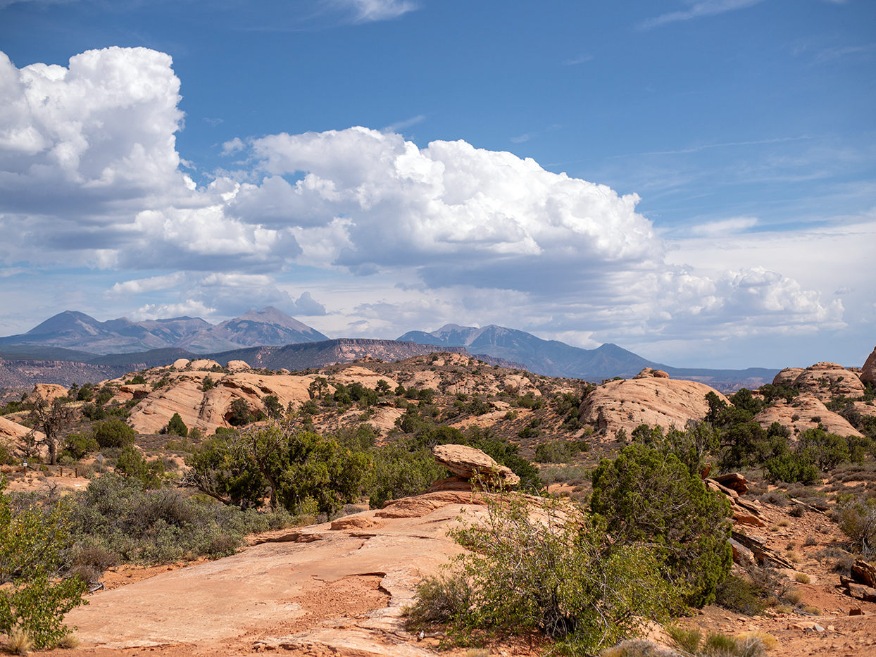 Juniper Trail in Sand Flats Recreation Area in Moab, Utah