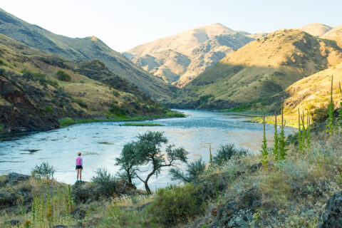 Idaho’s Lower Salmon River