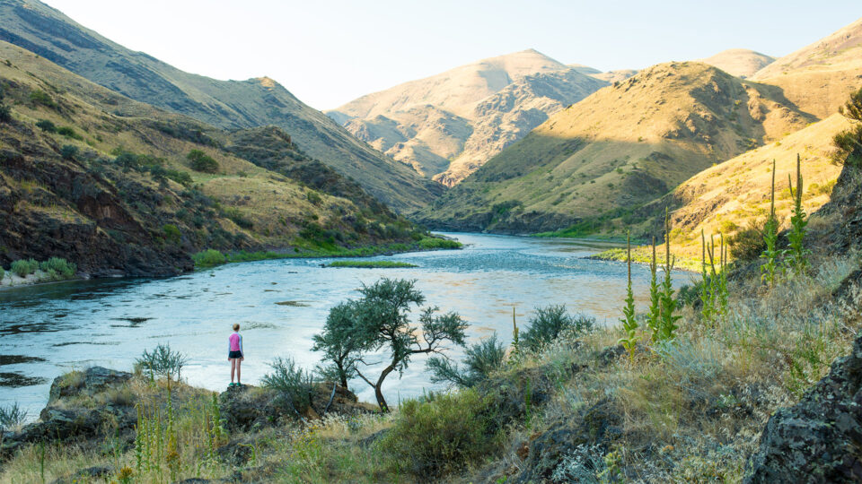 Idaho’s Lower Salmon River