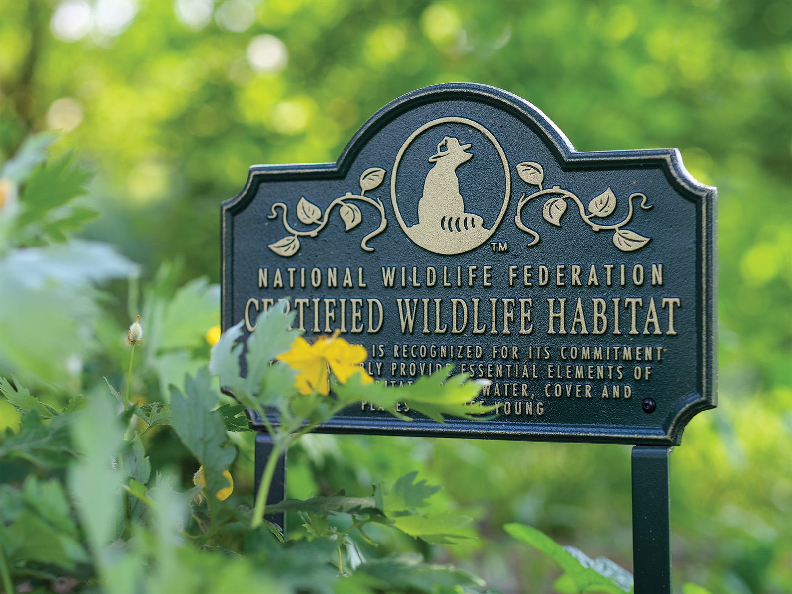 National Wildlife Federation’s Certified Wildlife Habitat yard sign