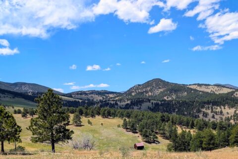 White Ranch Park West from the start of the Rawhide Trail. Photo by Rose Cahalan