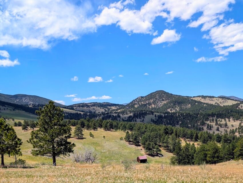 White Ranch Park West from the start of the Rawhide Trail. Photo by Rose Cahalan