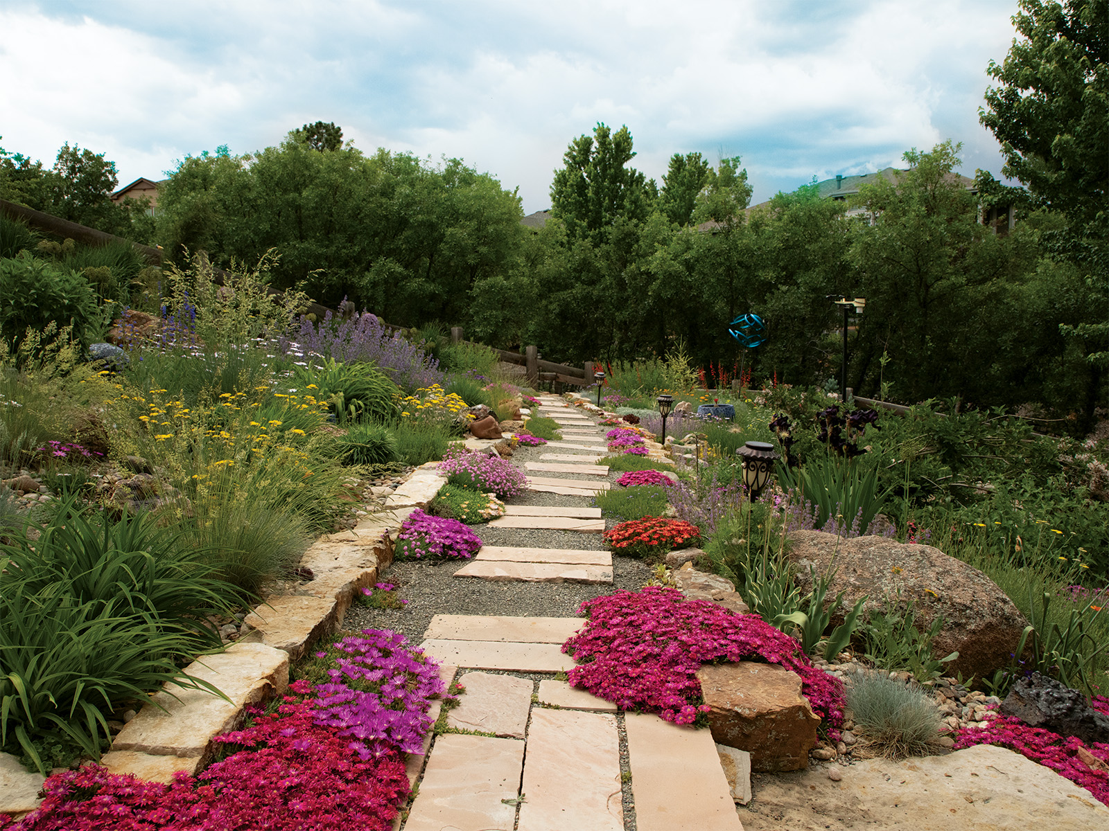 A gravel path lined with flora