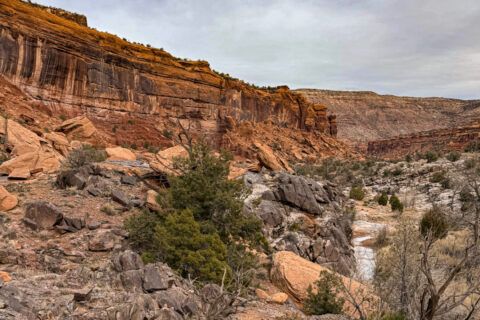 Big Dominguez Canyon, Colorado
