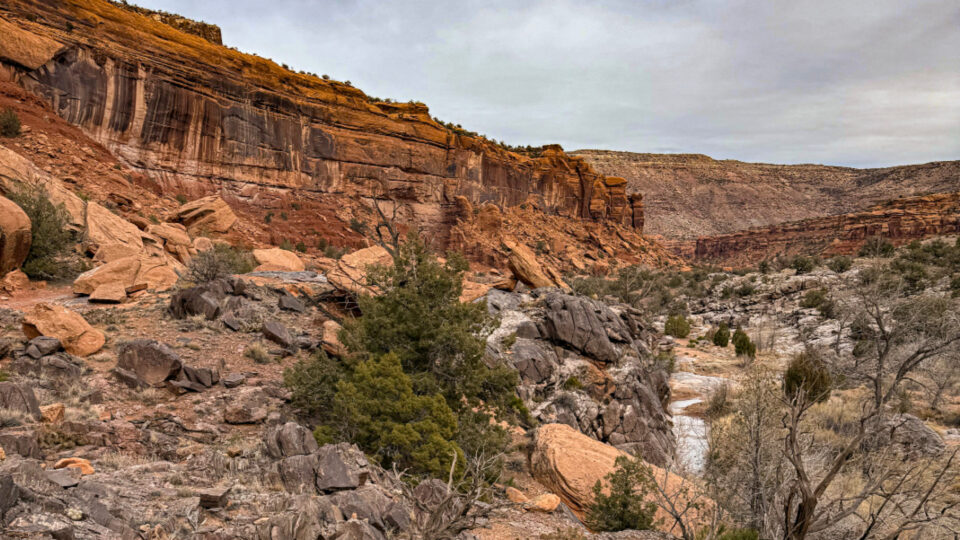 Big Dominguez Canyon, Colorado