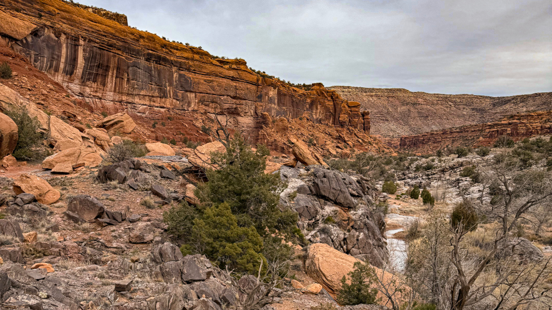 Big Dominguez Canyon, Colorado