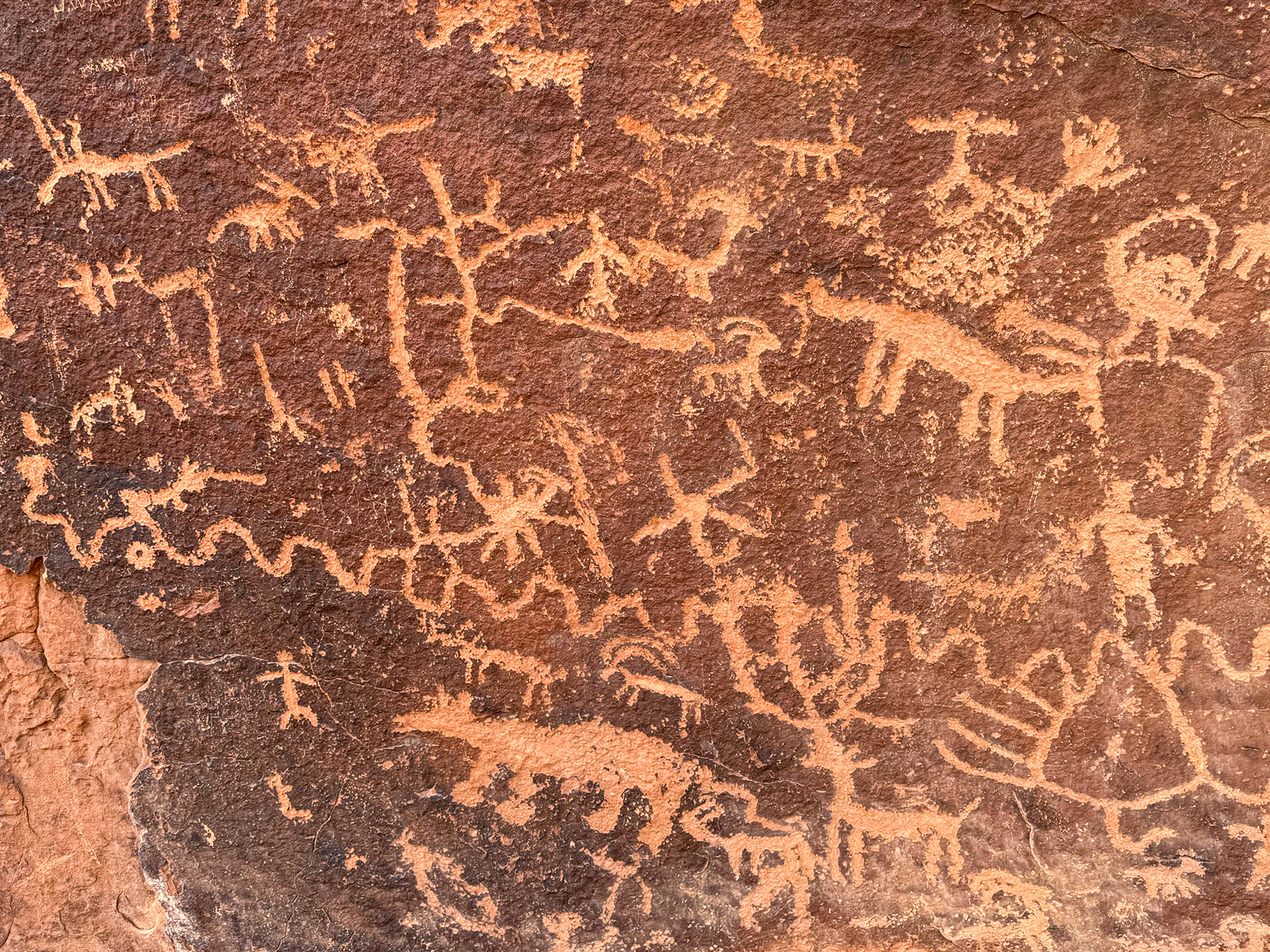 A petroglyph panel in Big Dominguez Canyon, Colorado