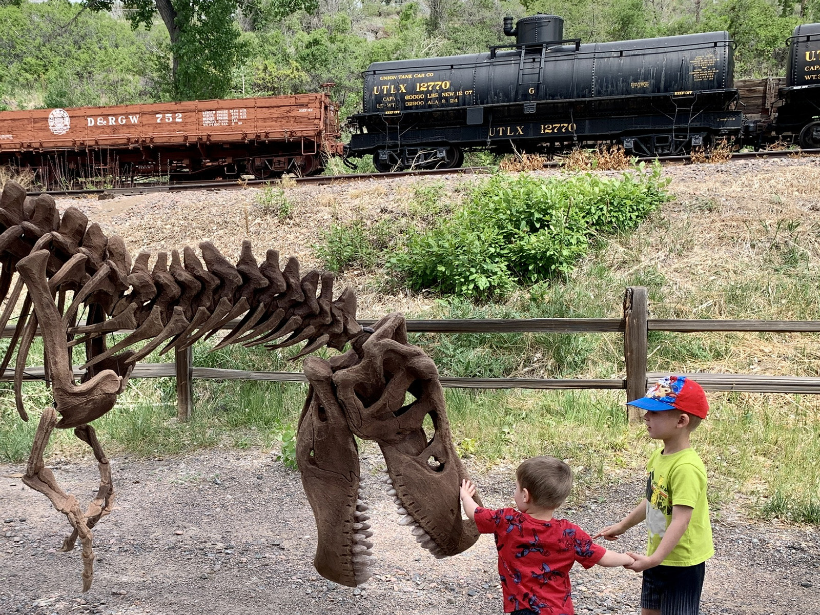 Dinosaur Express Train